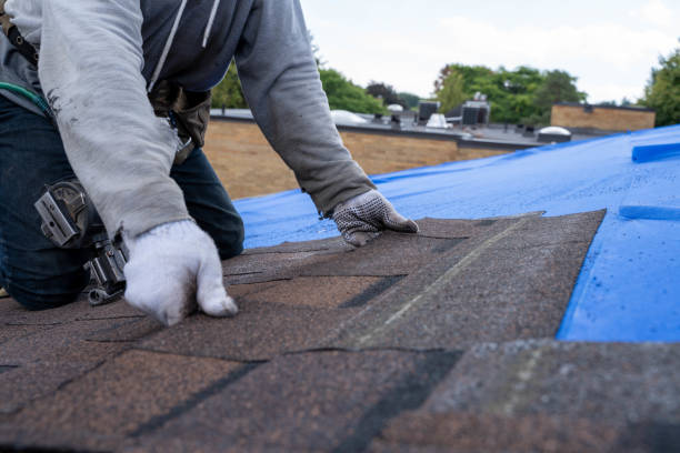 Best Residential Roofing Contractor  in Webster, FL