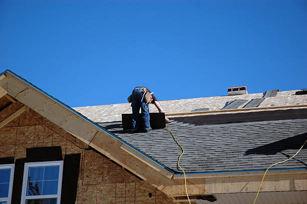 Best Roof Leak Repair  in Webster, FL