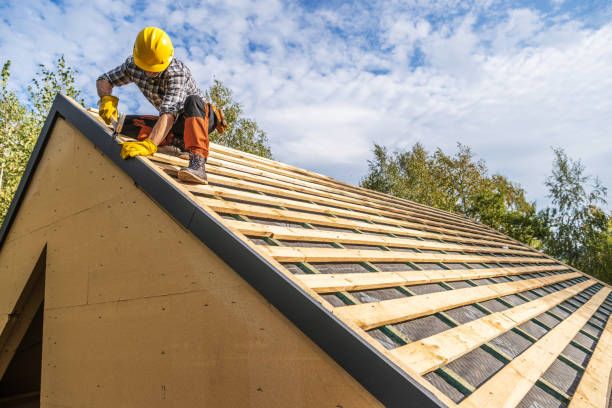 Professional Roofing Contractor in Webster, FL