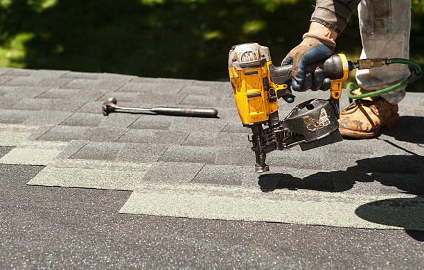 Best Flat Roof Repair Services  in Webster, FL