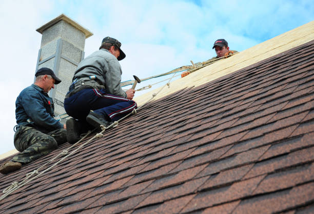 Best Roof Replacement Cost  in Webster, FL