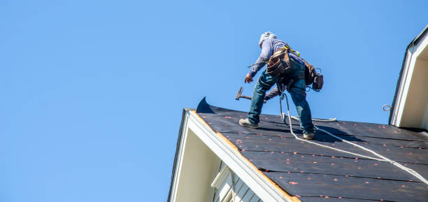 Best Commercial Roof Installation  in Webster, FL